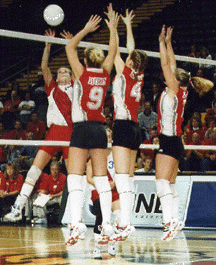 vb.gif (49505 bytes)
