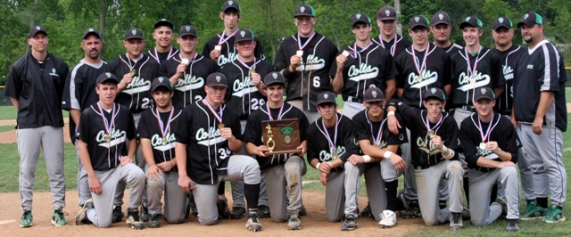 2010 Baseball Division III